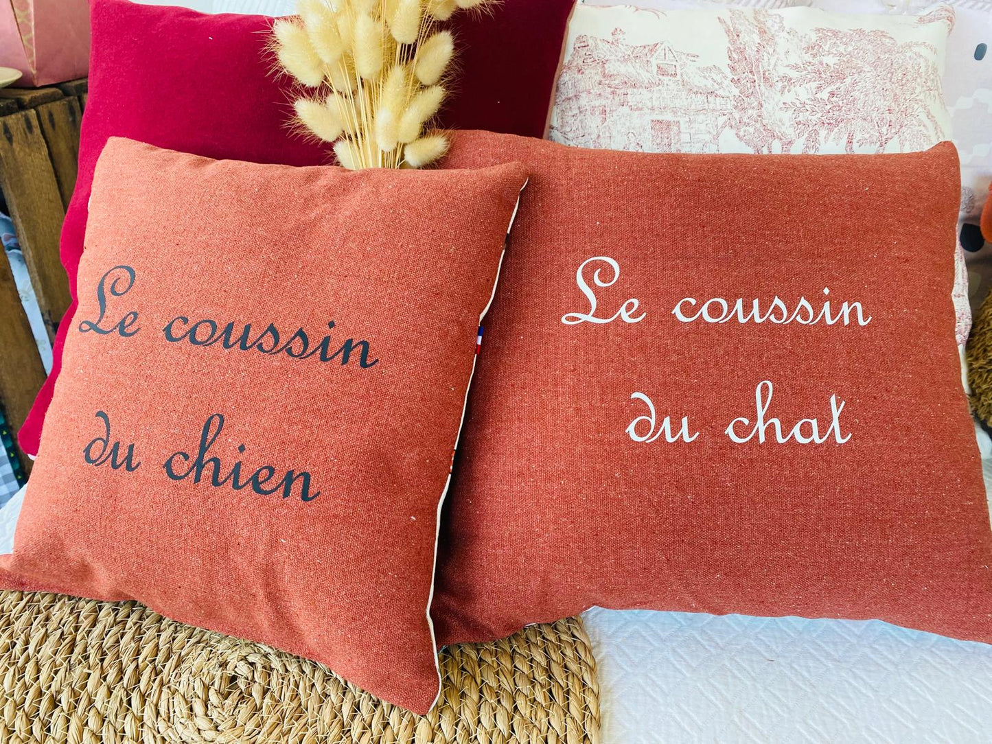 Le coussin du chat